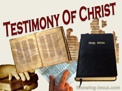 Testimony Of Christ (devotional)08-30 (white)